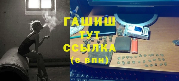 дживик Няндома