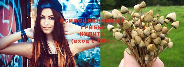 винт Абинск