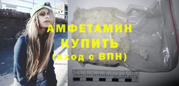 дживик Няндома