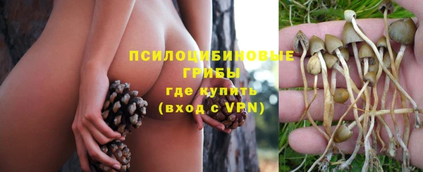 винт Абинск