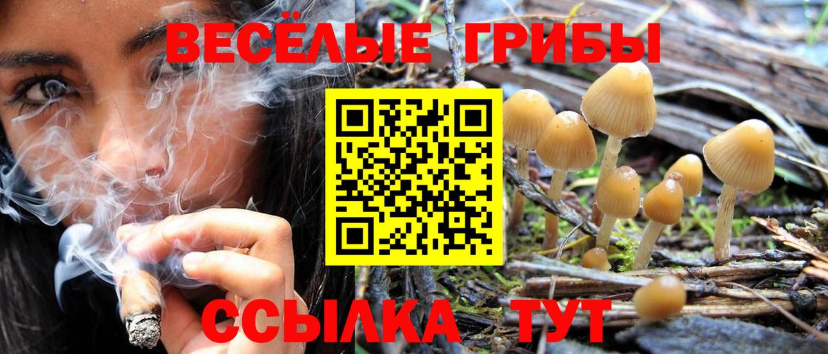 Галлюциногенные грибы мицелий Усинск