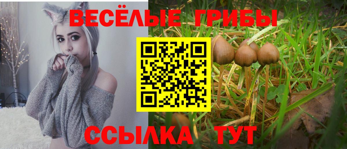 Усинск  Псилоцибиновые грибы ЛСД  Вход с VPN 